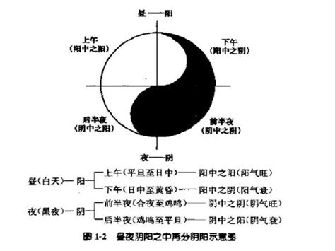 互根互用|阴阳互根